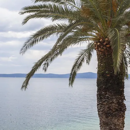 Sumic Podgora (Split-Dalmatia)