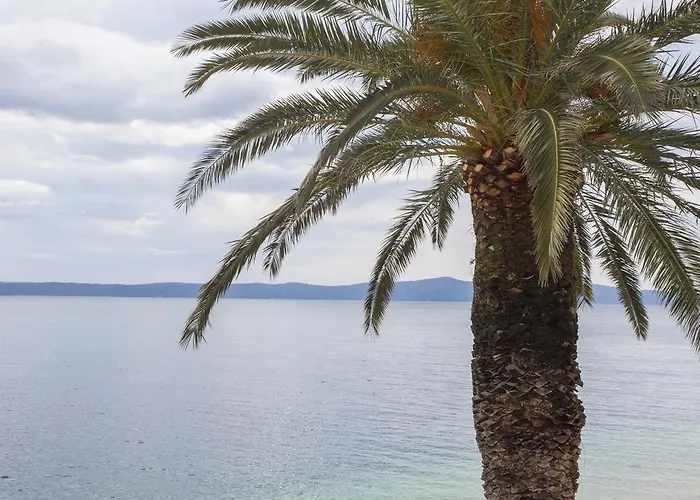 Sumic Podgora (Split-Dalmatia)